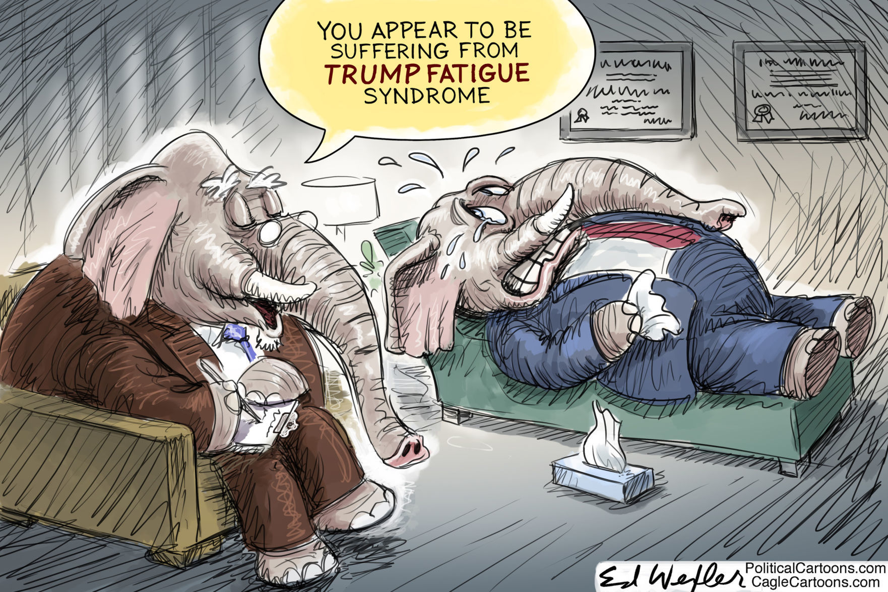 Trump fatigue